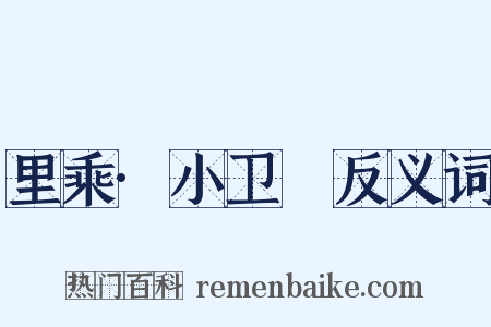 里乘·小卫玠反义词是什么意思的图片